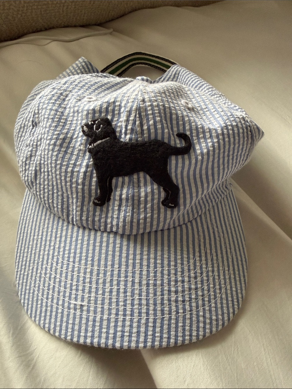 Striped Interior Baseball Cap - Blue & White